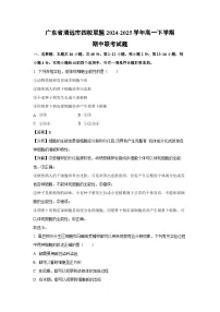 广东省清远市四校联盟2024-2025学年高一下学期期中联考生物试卷（解析版）