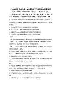广东省惠州市惠东县2025届高三下学期第三次质量检测生物试卷（解析版）