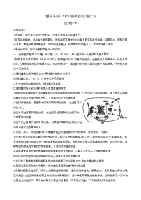 湖南省长沙市雅礼中学2024—2025学年高三下学期5月考试生物试题（高考模拟）