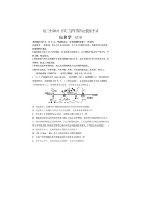黑龙江省哈三中2024-2025学年高三下期四模考试生物试卷含答案