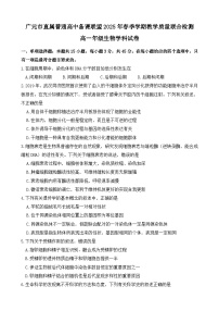 四川省广元市直属普通高中2024-2025学年高一下学期期中考试生物试题（Word版附答案）
