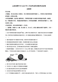 2025届山西省晋中市高三适应训练考试生物学试卷（高考模拟）