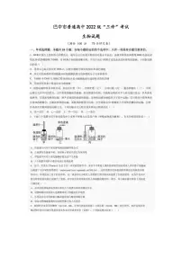 生物丨四川省巴中市普通高中2022级“三诊”考试试卷及答案