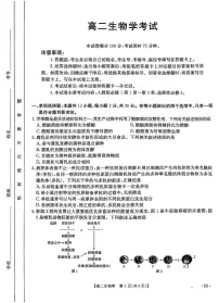 河北省部分示范高中2024-2025学年高二下学期期中生物试题