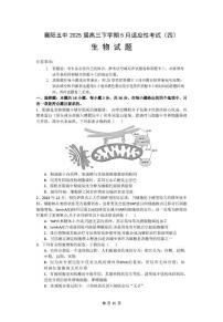 湖北省襄阳市第五中学2025届高三下学期5月适应性考试（四）生物试题（扫描版附答案）