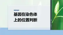 第五单元　专题突破8　基因在染色体上的位置判断-2026年高考生物大一轮复习课件（含试题及答案）
