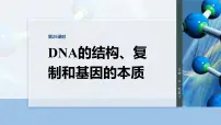 第六单元　第26课时　DNA的结构、复制和基因的本质-2026年高考生物大一轮复习课件（含试题及答案）