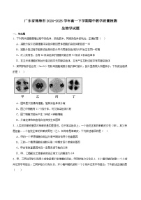 广东省珠海市2024-2025学年高一下学期期中考试生物试题（Word版附答案）