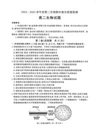 山东省聊城市2024-2025学年高二下学期期中考试生物试题（PDF版附答案）