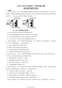 2023-2025北京高三一模[高考模拟]生物汇编：神经调节章节综合