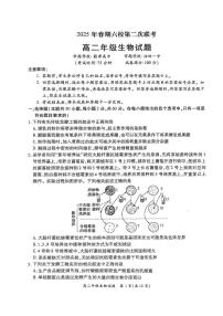河南省南阳市六校2024-2025学年高二下学期第二次联考生物试卷（PDF版附解析）