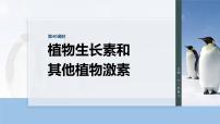 第八单元　第40课时　植物生长素和其他植物激素-2026年高考生物大一轮复习课件（含试题及答案）