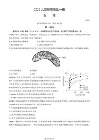 北京市朝阳区2025年高三生物一模试卷（PDF版，含答案）