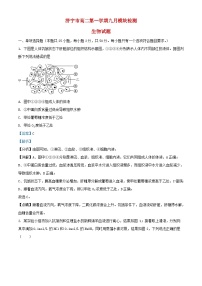 山东省济宁市2024_2025学年高二生物上学期9月月考试题含解析