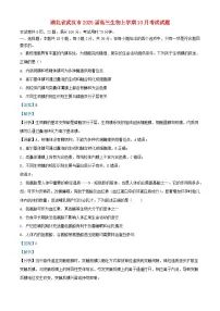 湖北省武汉市2025届高三生物上学期10月考试试题含解析