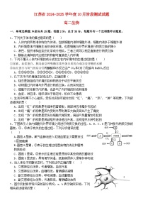 江苏省2024_2025学年高二生物上学期10月月考试题