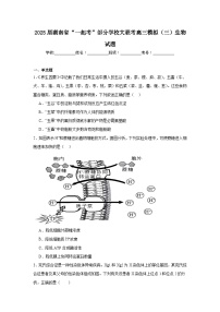 2025届湖南省“一起考”部分学校大联考高三模拟（三）生物试题（附答案解析）