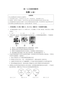 生物-江苏省百校联考2024-2025学年高一下学期5月月考试题和答案
