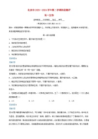 北京市2023_2024学年高一生物下学期3月月考试题含解析