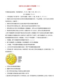 湖南省长沙市2024_2025学年高三生物上学期月考卷一试题