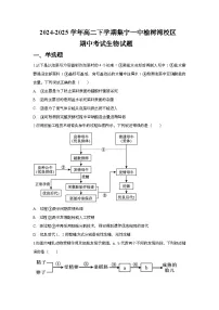 内蒙古自治区乌兰察布市集宁区内蒙古集宁一中2024-2025学年高二下学期5月期中生物试题