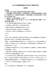 2025年高考真题——生物（安徽卷） Word版含解析