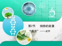 高中生物人教版 (新课标)必修1《分子与细胞》细胞的能量“通货”──ATP复习课件ppt