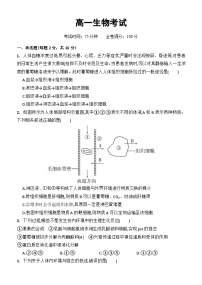 河北省保定市唐县河北省唐县第一中学2023-2024学年高一下学期7月期末生物试题
