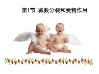 高中生物人教版 (新课标)必修2《遗传与进化》受精作用教学演示ppt课件