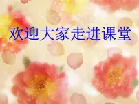 人教版 (新课标)必修2《遗传与进化》受精作用集体备课ppt课件