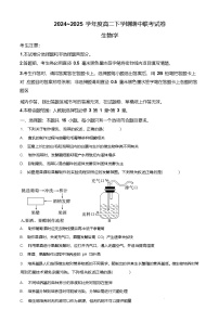 河南省商丘市部分学校2024-2025学年高二下学期4月期中考试生物试题（Word版附答案）