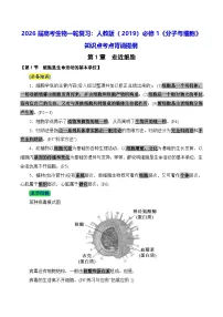 2026届高考生物一轮复习：人教版（2019）必修1《分子与细胞》知识点考点背诵提纲 学案