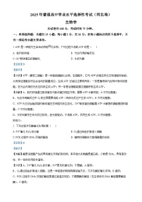 2025年高考真题——生物（河北卷）试卷（Word版附解析）