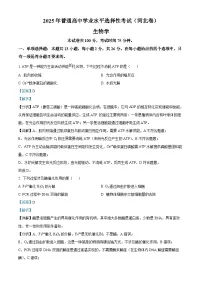2025年高考真题——生物（河北卷）试卷（Word版附解析）