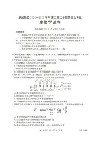河北省邢台市卓越联盟2024-2025学年高二下学期第三次考试（6月）生物试题含答案解析