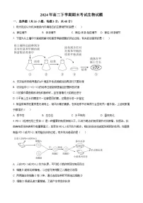 湖南省岳阳市岳阳县第一中学2023-2024学年高二下学期7月期末考试生物试题.zip