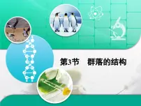 高中生物人教版 (新课标)必修3《稳态与环境》群落的结构复习ppt课件