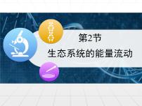 高中生物人教版 (新课标)必修3《稳态与环境》生态系统的能量流动课文配套课件ppt