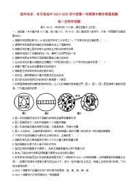 安徽省宿州市2024_2025学年高一生物上学期11月期中试题含解析