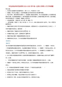 河北省沧州市四县联考2024_2025学年高一生物上学期10月月考试题含解析
