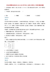 河北省邯郸市武安市2024_2025学年高二生物上学期10月期中测试试题含解析