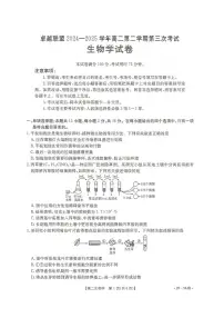 河北省邢台市卓越联盟2024-2025学年高二下学期第三次考试（6月）生物试卷（含答案）
