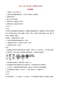 湖北省2024_205学年高一生物上学期10月月考试题含解析