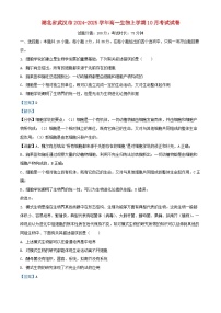 湖北省武汉市2024_2025学年高一生物上学期10月考试试卷含解析