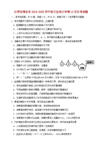 江苏省淮安市2024_2025学年高三生物上学期10月月考试题