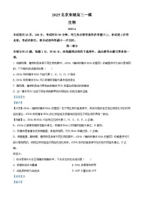 北京市东城区2025届高三下学期一模生物试卷（Word版附解析）