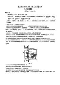 重庆南开中学2025届高三第九次质量检测-生物试卷【含答案】