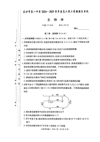 湖南省长沙市第一中学2024-2025学年高二下学期6月期末考试生物试卷（含答案）