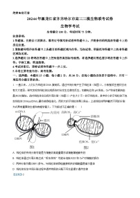 黑龙江省齐齐哈尔市2024届高三下学期三模生物试卷（Word版附解析）