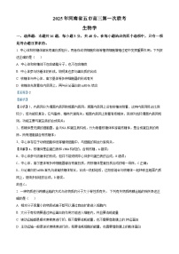 河南省五市2025届高三下学期第一次联考生物试卷（Word版附解析）